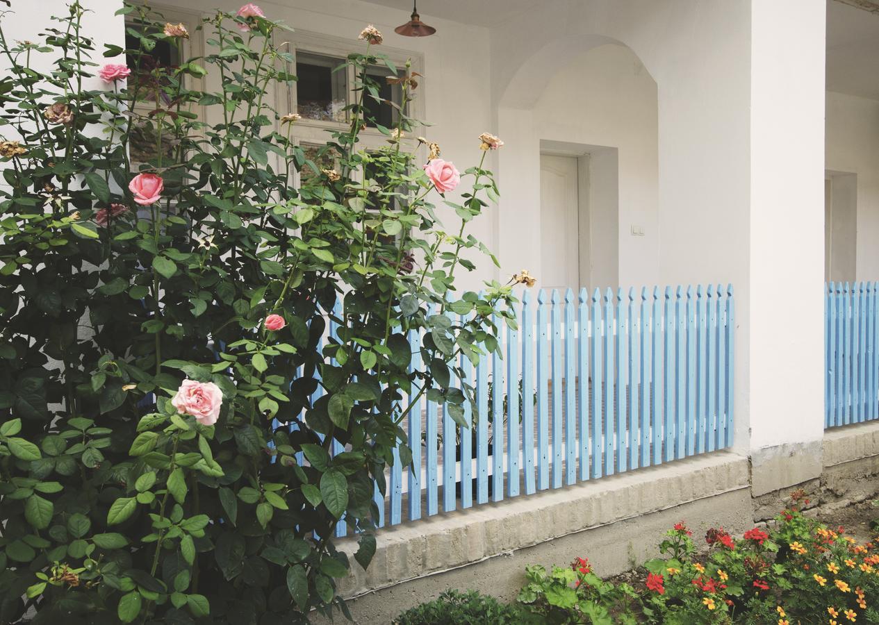 Ethno&Coffee House Tulip Bed & Breakfast Glozan Ngoại thất bức ảnh